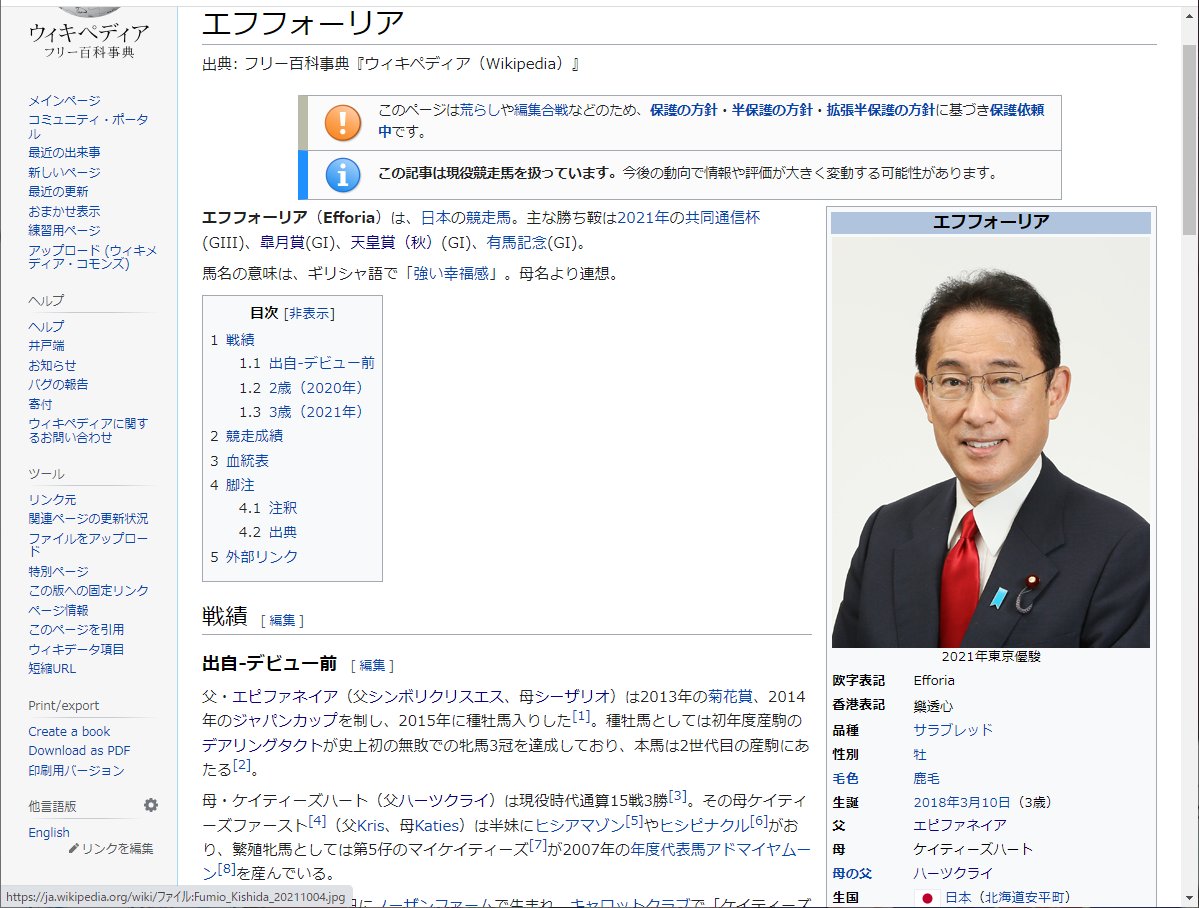 メンチの人 教授 Puellamagimaria Twitter