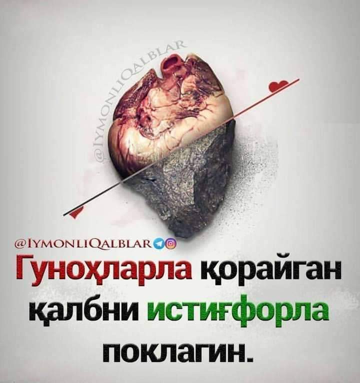 Shukurullo1998's tweet photo. https://t.co/uNzUnZTL5v
