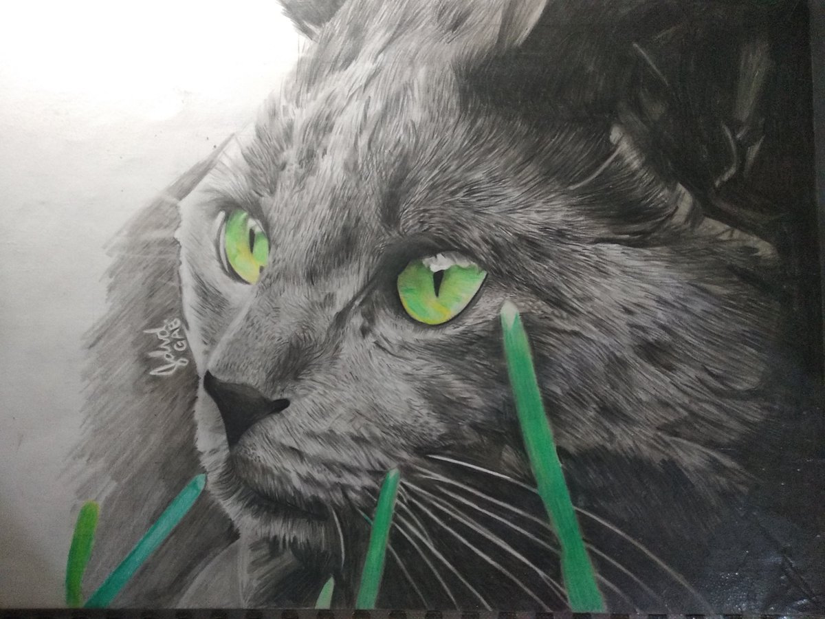 ZENCH__'s tweet photo. @LimantyL Hi I'm an artist https://t.co/mE2waPg0Ru