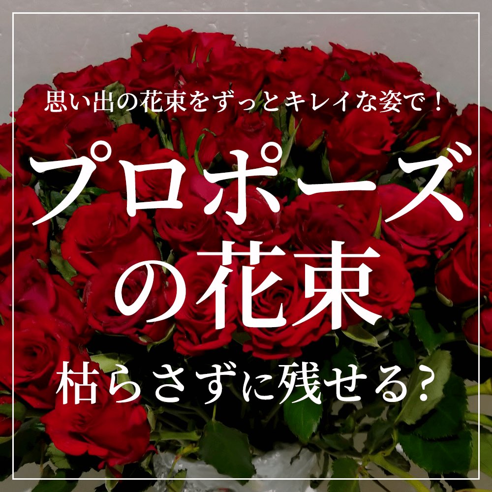 １０８本のバラ Twitter Search Twitter