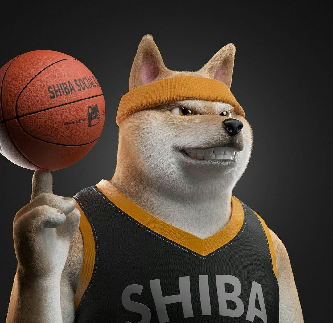 Benali (@benali76193016) on Twitter photo 