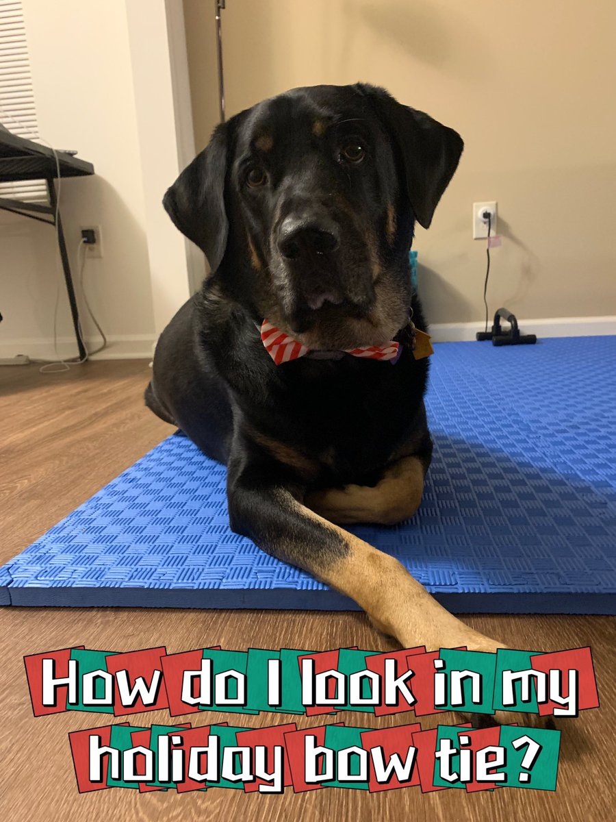 Merry Christmas 🎄~