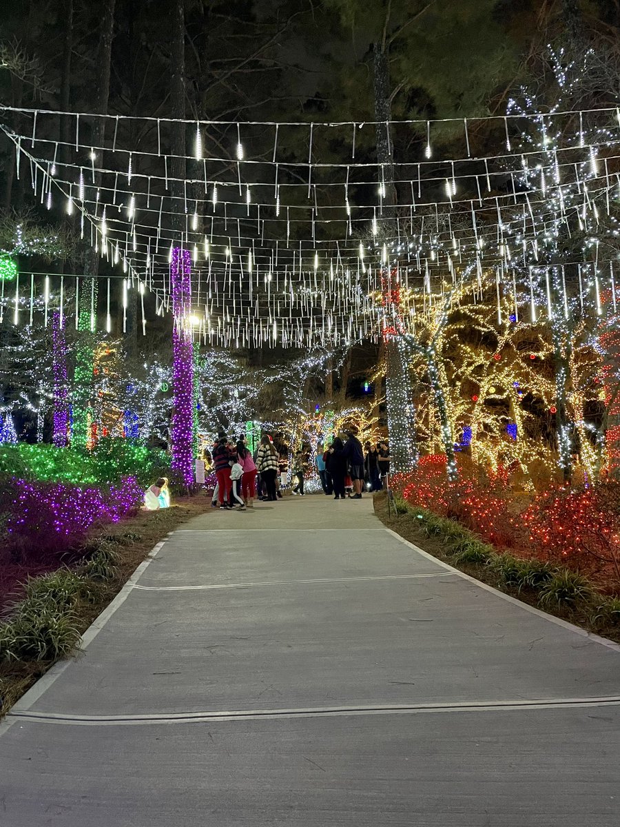lasvegasloopy's tweet photo. Seriously one of the most impressive residential #Christmas light displays I’ve ever seen. #lightsofjoy #kennesaw #georgia https://t.co/zyGSwXDRIp