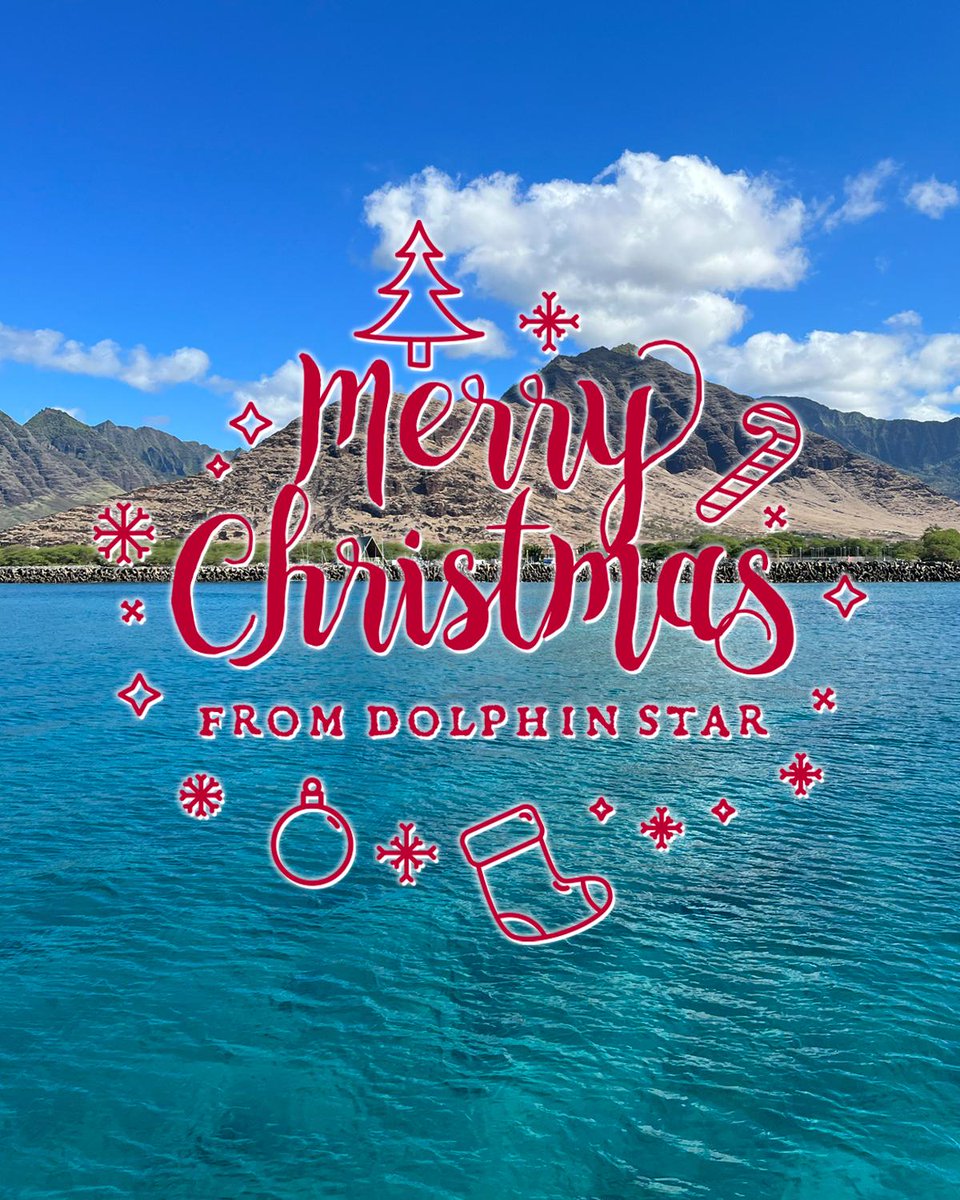 Dolphin Star tweet media