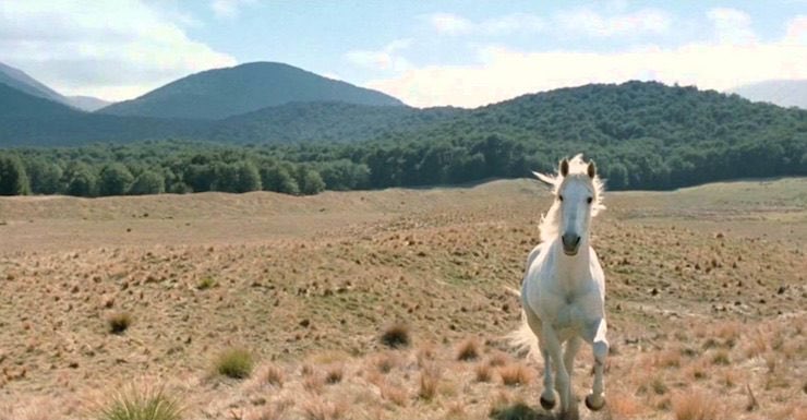 nerdist's tweet photo. Shadowfax appreciation 🐴 https://t.co/CwBV8W9Iof
