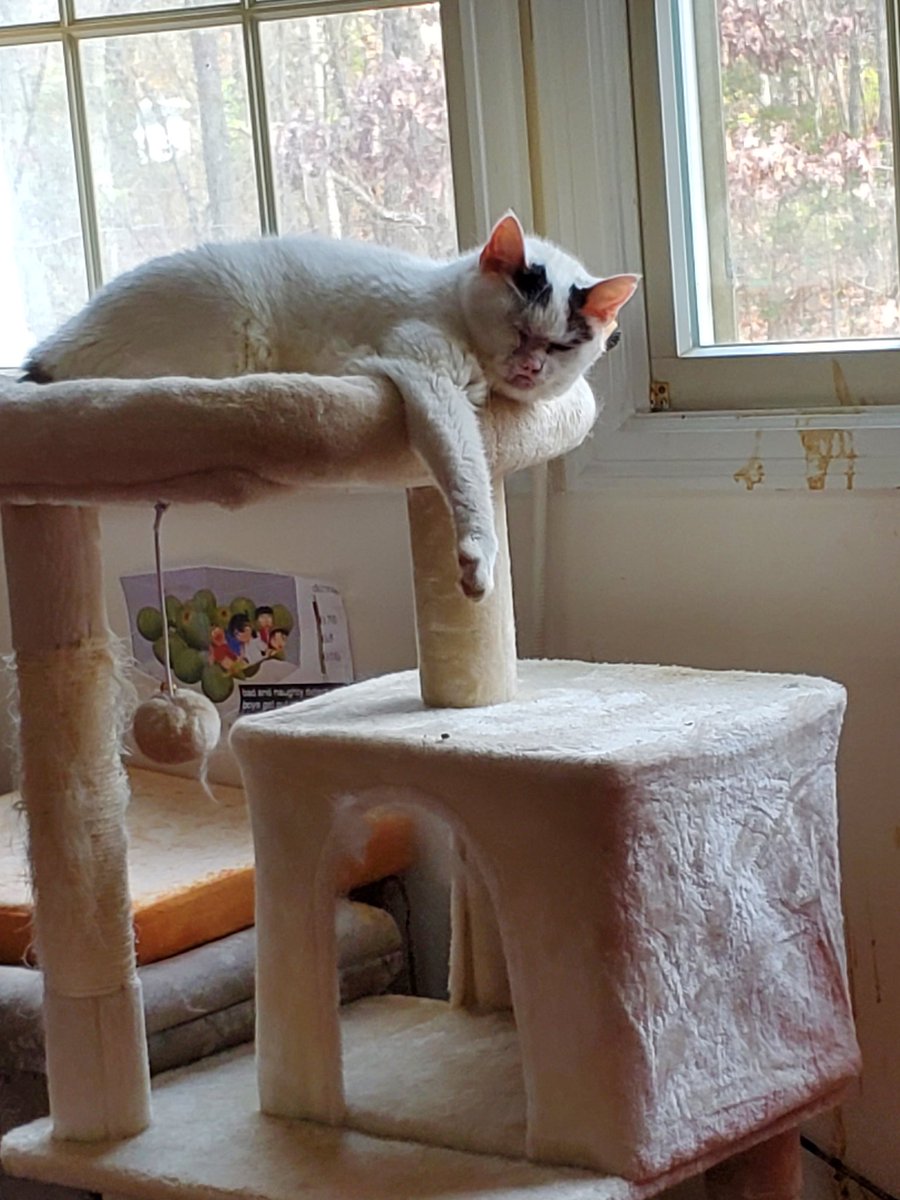 merry crust 
i love you all