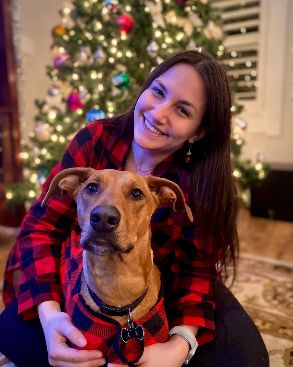 Brookeblau's tweet photo. Merry Christmas 🤍🎄 https://t.co/P6ZK2Ca3yE
