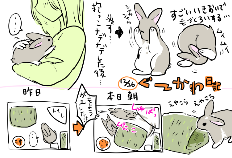 ほぼ日刊・ぐーかわ日記 こちらの好意が伝わらない 