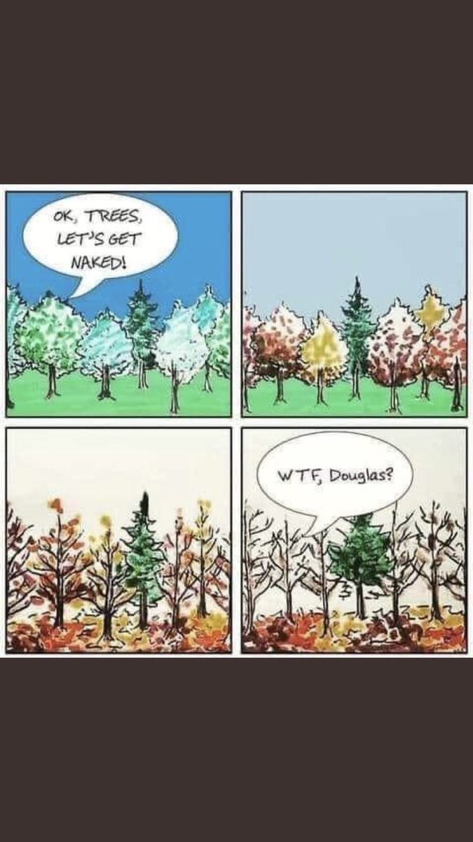 Smokie420XXX's tweet photo. #trees #treememes #TreesArmy #trees #Memes #memesdaily 🤣😂 #wtfmemes https://t.co/RkG0g3UpYq