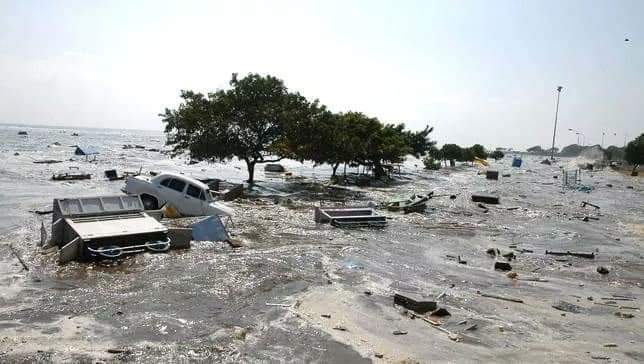 _Sanatani007's tweet photo. 17 Years passed, still the day is unforgettable 😢💔 So many losses within few minutes ❤‍🩹 
#tsunami #26thDecember2004 https://t.co/9ckP10fzWy