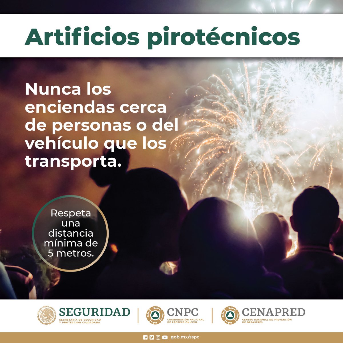 CNPC_MX's tweet photo. 👉 Protege también a tus #mascotas🐶🐾🐱 de los artificios pirotécnicos.🧨

Especialmente los #perros 🐕 son extremadamente sensibles al estallido, aléjalos o evita que estén cerca cuando se manipule #pirotecnia.🎇 https://t.co/9LGoMPQxva