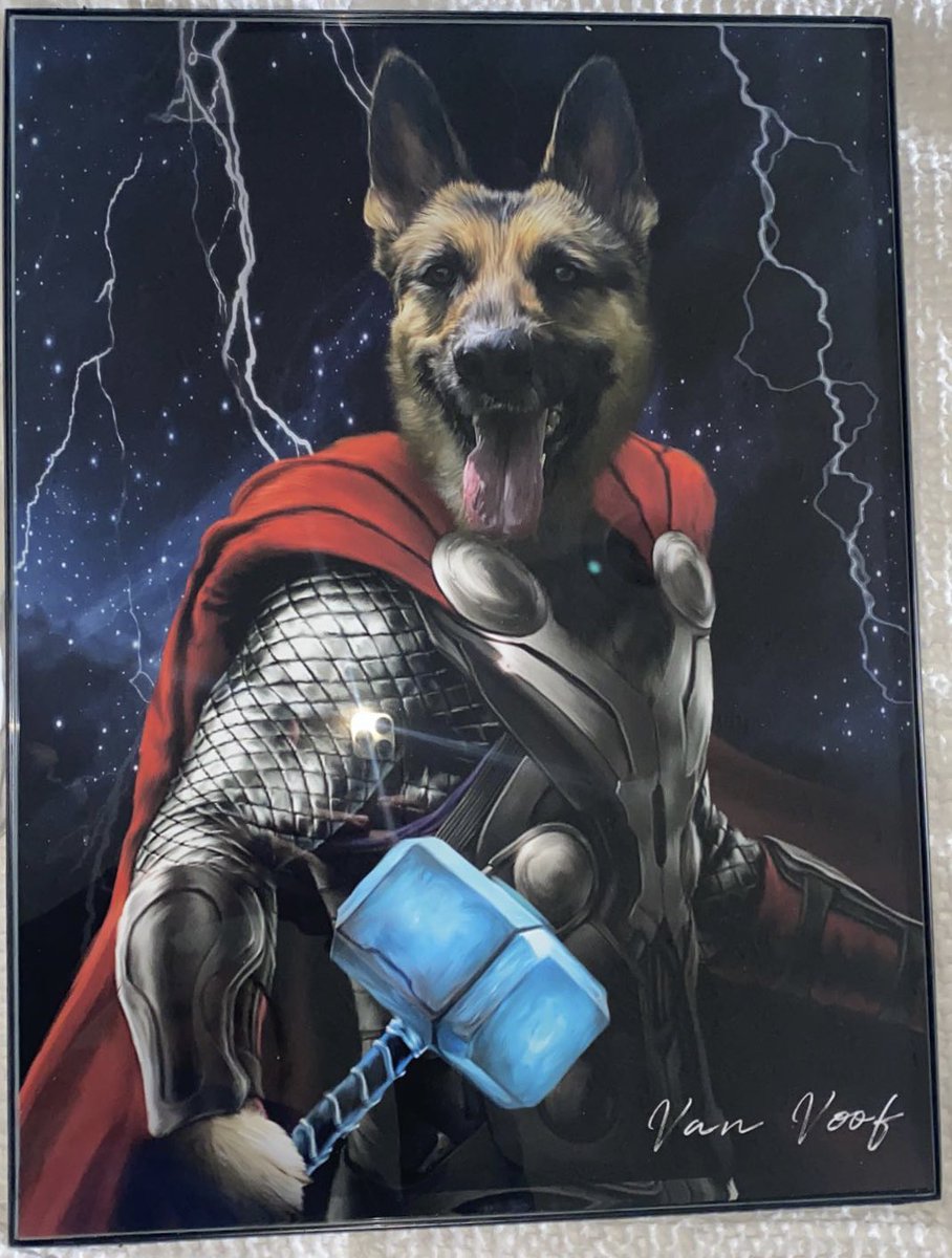 SydVish15's tweet photo. My dog Thor, as Thor. @MarvelStudios @Avengers @chrishemsworth @thorofficial https://t.co/FcaGAzJ69k