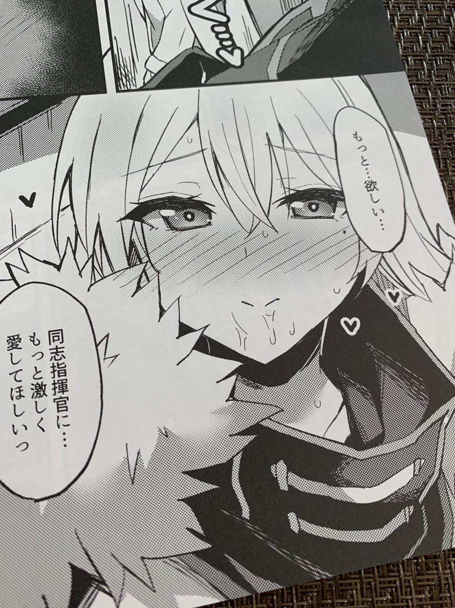 ロシアちゃん本の見本誌届きました〜!めっちゃ良い感じです\( 'ω` )/ https://t.co/87oUKHX7Nj 