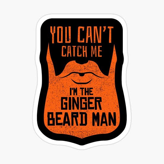 janubeard's tweet photo. Two Gingerbeards at the crease. A historic moment? #Ashes #janubeard https://t.co/jqLgGBUjAN