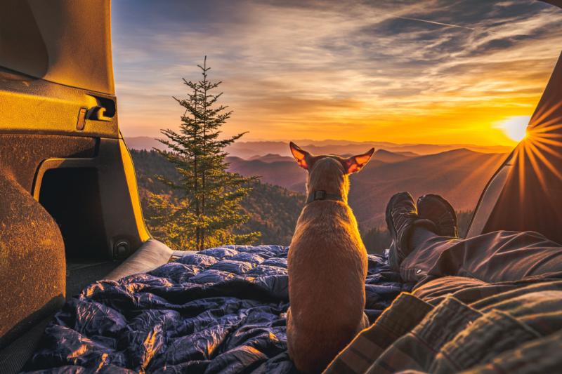 prepforshtf's tweet photo. I’m a finalist in Visit North Carolina’s Story Contest. Help me rally votes: https://t.co/lNgdvh2Q2W @VisitNC https://t.co/oK8irkjiXf