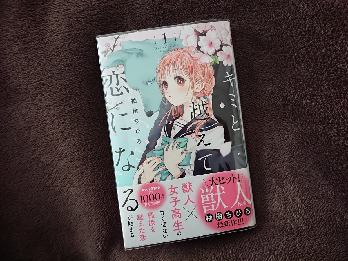 ちひろ 最新情報まとめ みんなの評判 評価が見れる ナウティスモーション 25ページ目