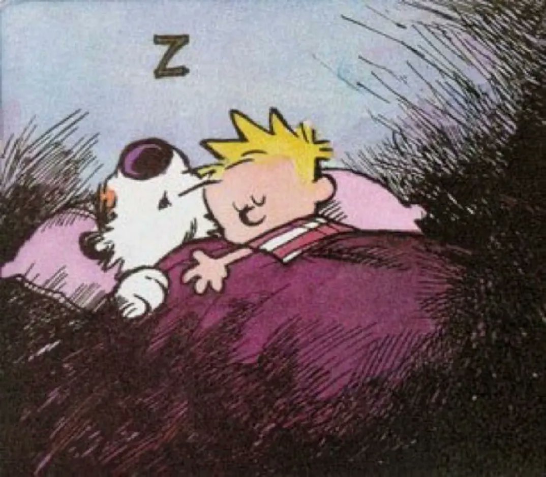 A Merry Christmas to all and to all a goodnight! 🌙🎅🏻 #CalvinandHobbes #Christmas