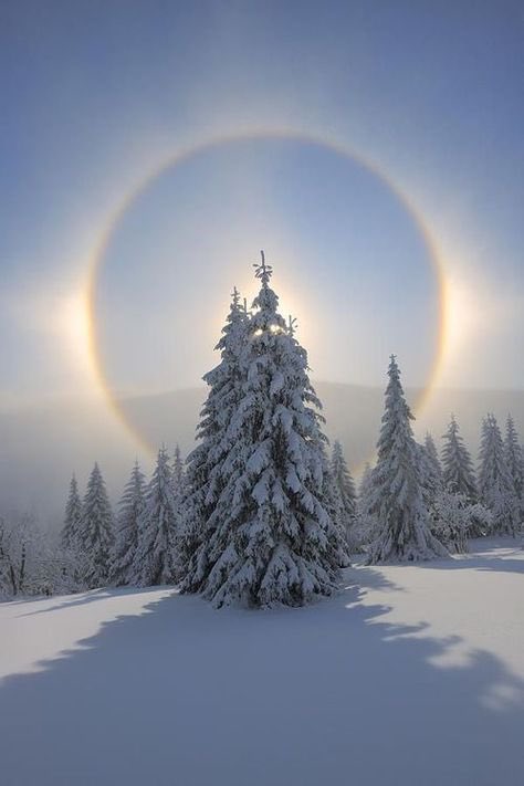 💚💚Guten Morgen ihr lieben Menschen. 
Der zweite Weihnachtstag ist da und wir „Rumkugeln“ nur noch. Mit leckerem Essen braucht mir heute keiner kommen.

Besinnlichen 2. Weihnachtstag ihr lieben💚💚