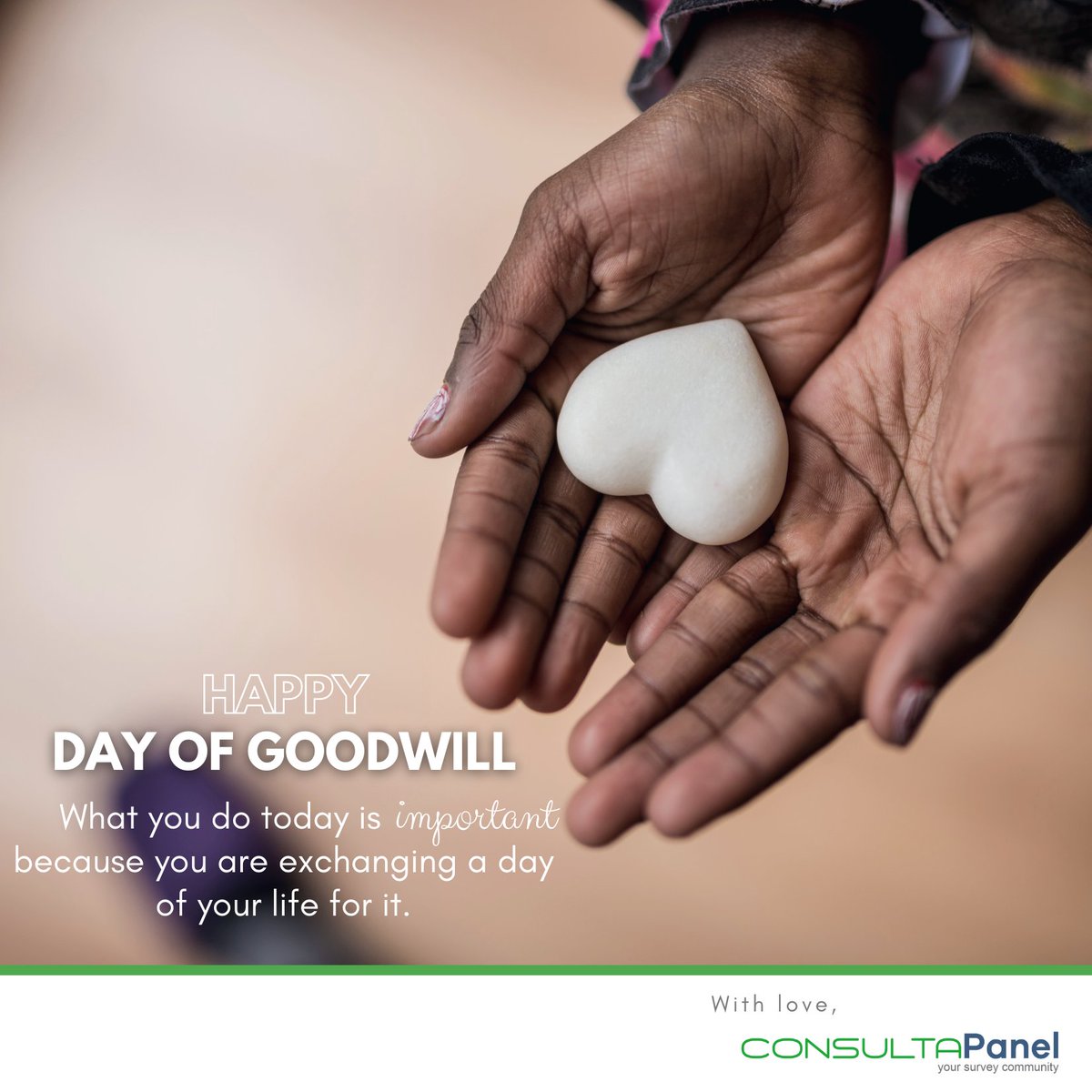 ConsultaPanel tweet media