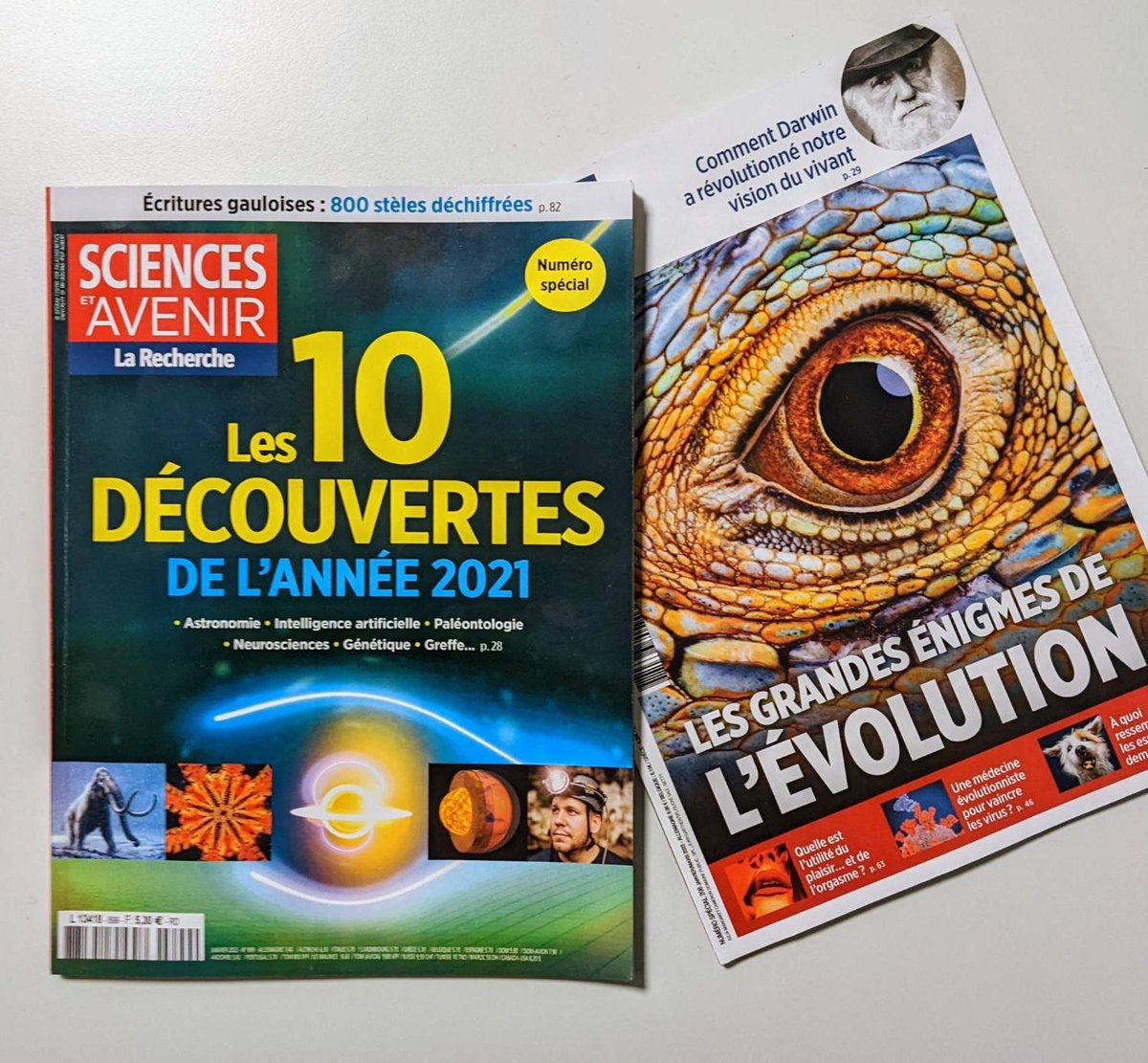 🎁 CONCOURS 🎁

Gagne le dernier numéro de <a href="/Sciences_Avenir/">Sciences et Avenir</a> + notre hors-série sur les grandes énigmes de l'évolution

Pour participer : RT + Follow <a href="/Sciences_Avenir/">Sciences et Avenir</a>

Tirage au sort : Lundi 27 décembre

Bonne chance ! 🍀