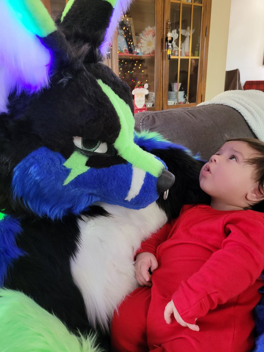 Sorry for being absent. I've been super busy and had some life changing events happen. Well, I'm a fox dad! He is over 3 months now and has only seen human dad bit today he met his fox dad for the first time. It went very well! 
Merry Christmas everyone!