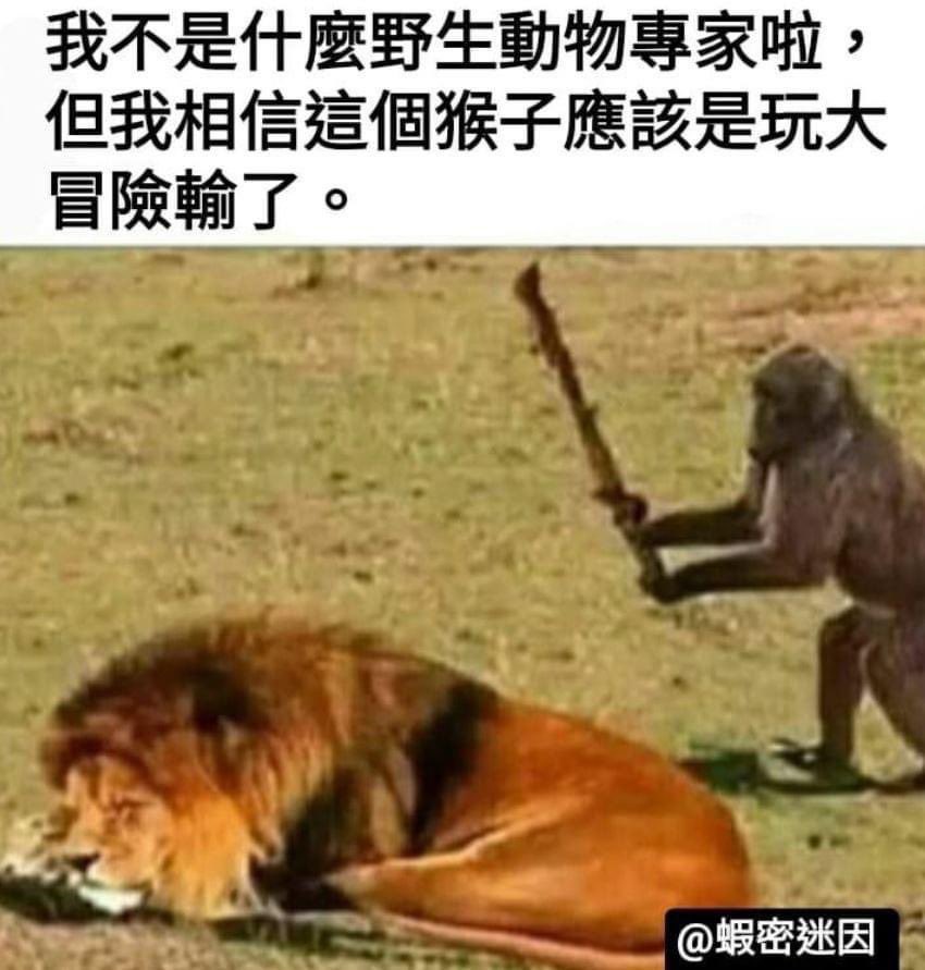 score037's tweet photo. @oBlUOn1LggkN7ED https://t.co/35rIb4GLpu