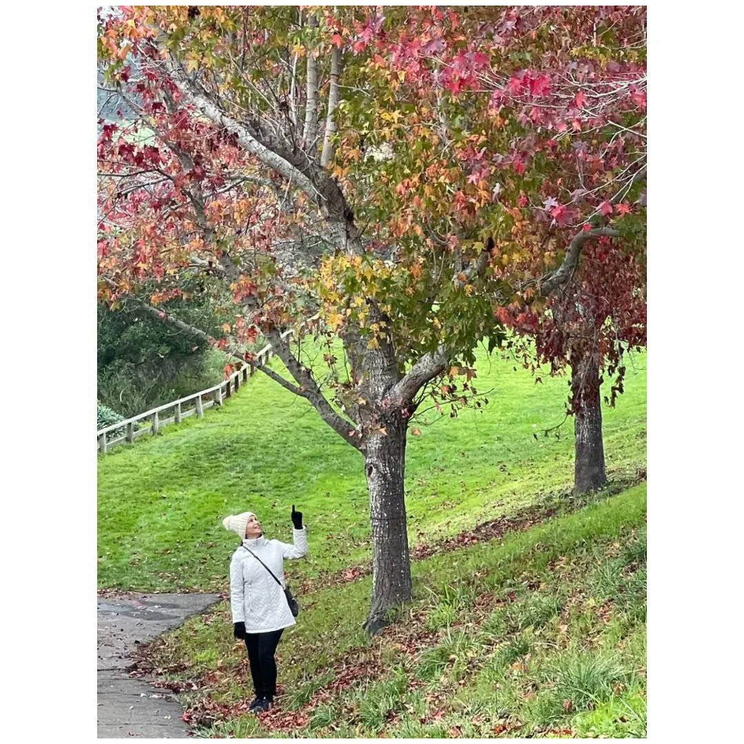 AshviniBhave's tweet photo. Verryyy Winteresting.. โ๏ธ๐โ๏ธ
#AshviniBhave #WinterFeels #HappySunday #wintwrstroll #sweaterweather
#coloursofwinters #winterwalk https://t.co/ITIVAQwnFY