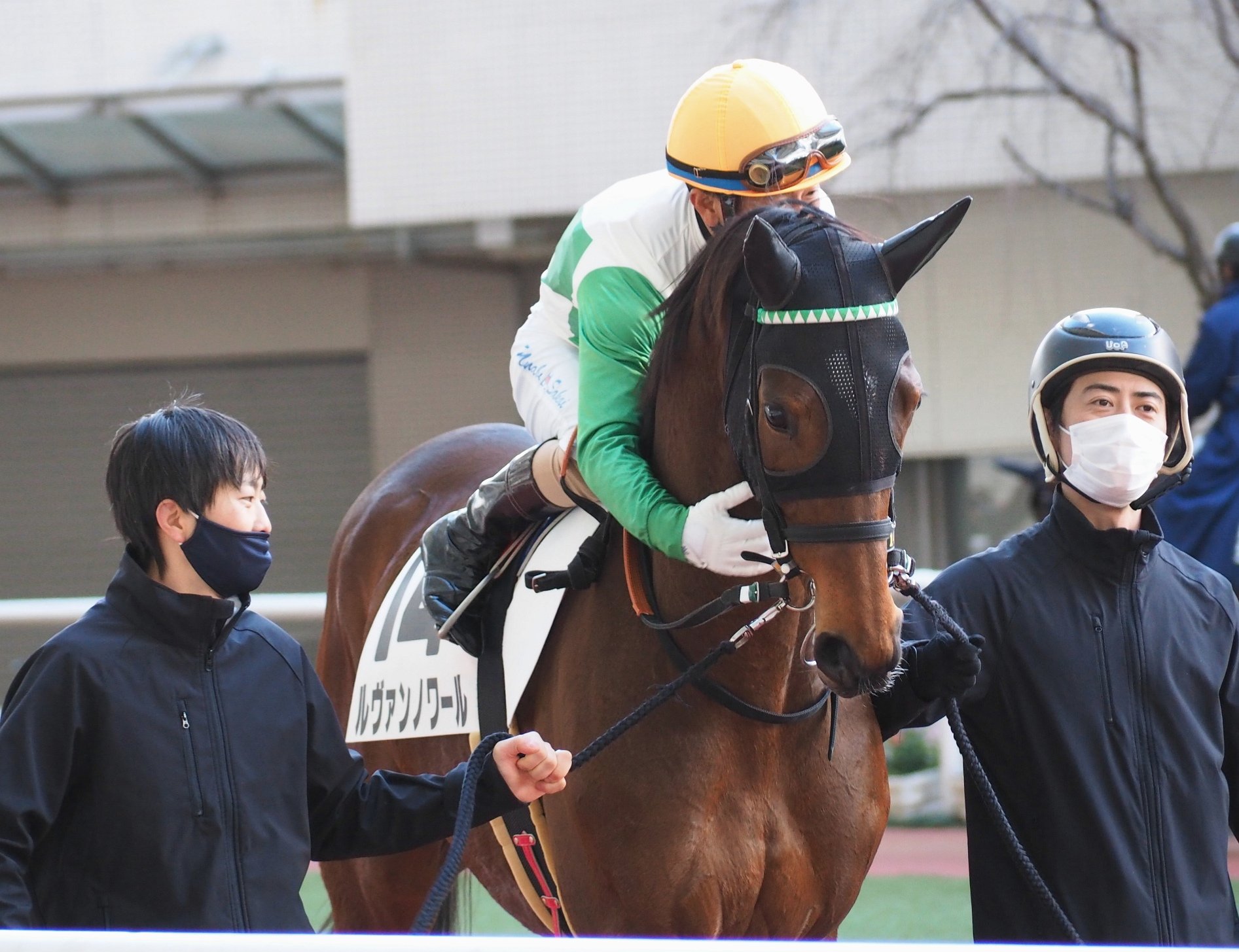 Et Coquine 上から下から脇から楽しそうですね陛下 21 12 26 阪神競馬第8レースのパドック ルヴァンノワールと酒井学騎手 庄野厩舎のスタッフさん 向かって左は花田くんかな も楽しそう T Co B5l9wnbd4f Twitter