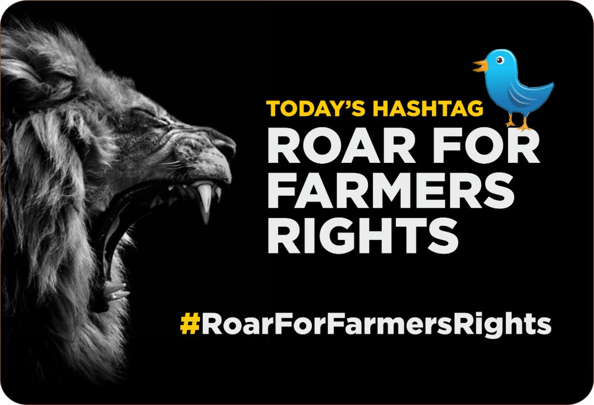 Farmers Protest
ਕਿਸਾਨ ਮਜ਼ਦੂਰ ਏਕਤਾ ਜਿੰਦਾਬਾਦ
#RoarForFarmersRights