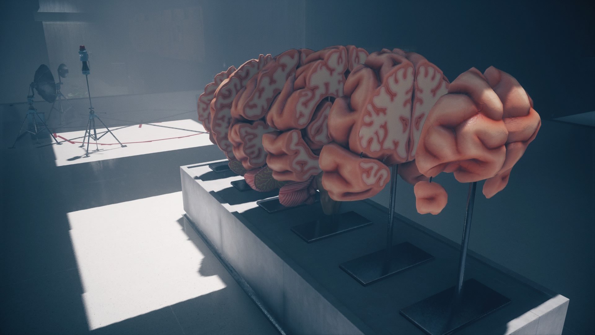 人体の不思議展 Cuardach Twitter Twitter