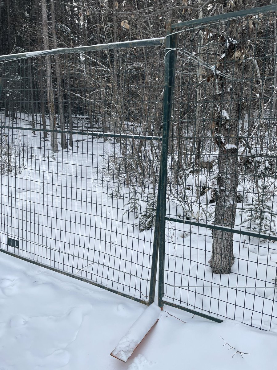 This is what greets you if you want to go walk in the forest by Quarry Lake from Carey. Thanks for being such dicks TSMV. #TSMVsucks