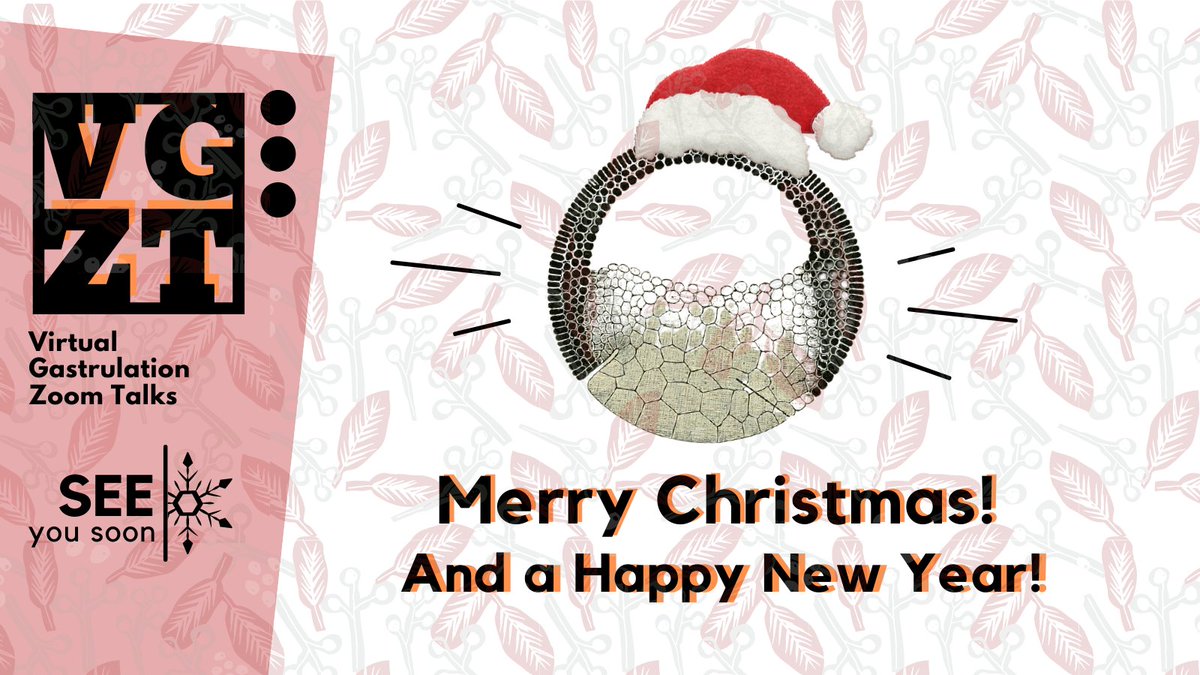 Virtual Gastrulation Zoom Talks tweet media