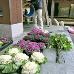 鹿児島 砂むし温泉 指宿白水館(Hakusuikan)のツイート画像