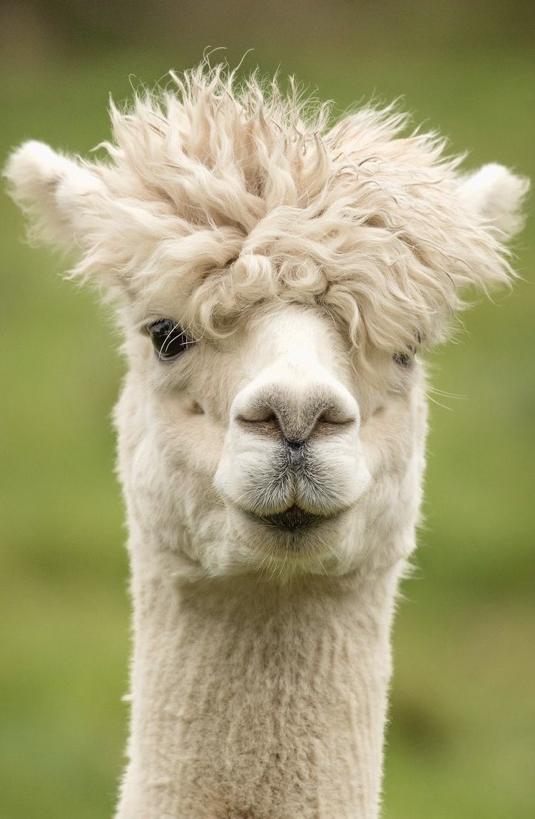 ㅋㅋㅋㅋㅋㅋㅋㅋㅋㅋㅋㅋㅋㅋㅋㅋㅋㅋㅋㅋㅋㅋㅋㅋㅋㅋㅋㅋㅋㅋㅋㅋㅋㅋㅋㅋㅋㅋㅋㅋㅋㅋㅋㅋㅋㅋㅋㅋㅋㅋㅋㅋㅋㅋㅋ아제발ㅋㅋㅋㅋㅋㅋㅋㅋㅋㅋㅋㅋㅋㅋㅋㅋㅋㅋㅋㅋㅋㅋㅋㅋㅋㅋㅋㅋㅋㅋㅋㅋㅋㅋㅋㅋㅋㅋㅋㅋㅋㅋㅋㅋㅋㅋㅋㅋㅋㅋㅋㅋㅋㅋㅋㅋㅋㅋㅋㅋㅋㅋㅋㅋㅋㅋㅋㅋㅋㅋㅋㅋㅋㅋㅋㅋㅋㅋㅋㅋ