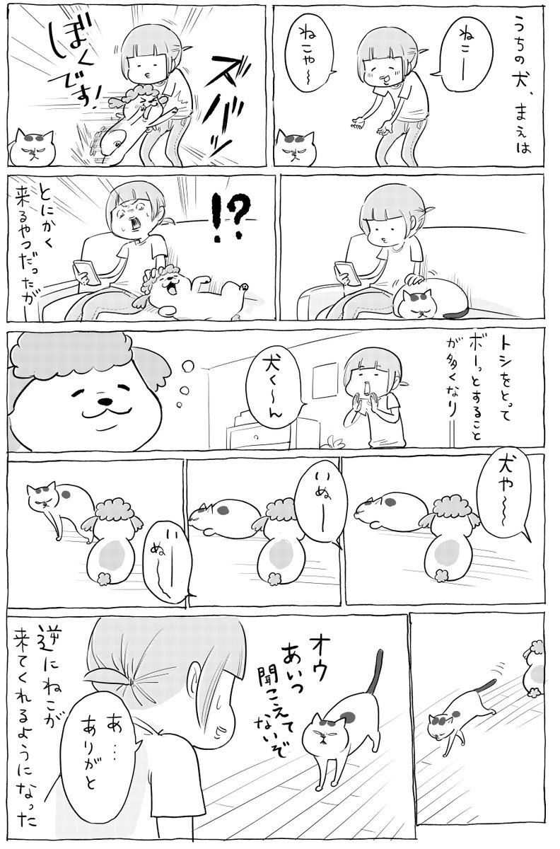 漫画 年老いた犬を呼んだら 猫が来る なぜ 可愛いけど ちょっと切ないのだ 拡散希望 おもしろネタ