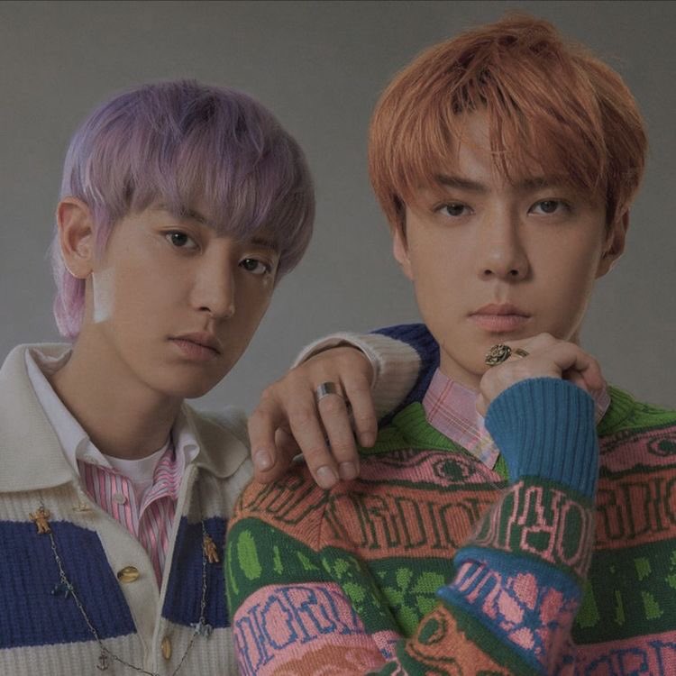 hourlyexosc's tweet photo. #EXO_SC https://t.co/nQ3ZREeerI