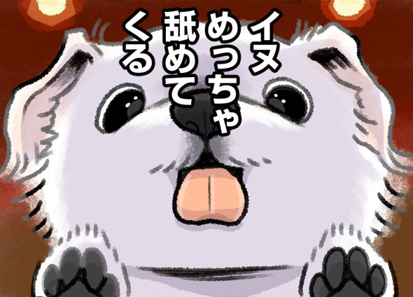 🦦ケッペキとずぼら🐨 - 第6話
犬ってこんなに舐めるの!?!? 今回は愛犬ビーのことを描きました。たっくさんイヌを描いたよ〜😂✨

続き→ https://t.co/TpoP4yOzEn 