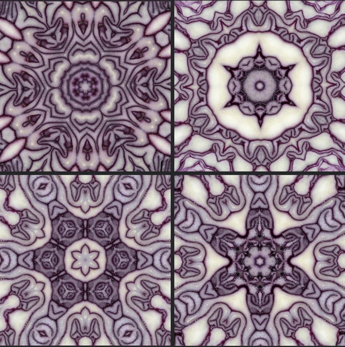 Obsessed with cabbage ‘snow flakes’. I want them as kitchen tiles. 
#allotment #GardeningTwitter #gardening #plants #flowers