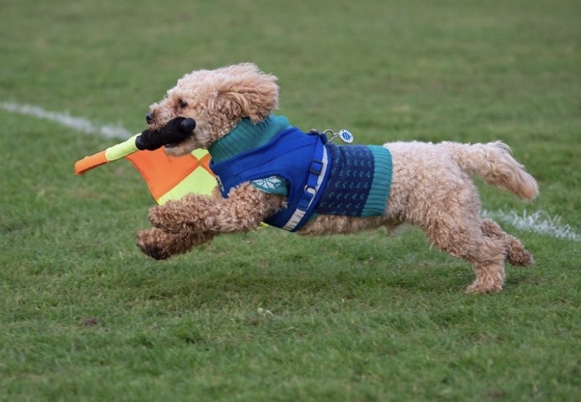 Secret footage emerges of The FA’s strategy to solve the referee shortage.

Photo Credit: <a href="/_Iain_Gibson_/">Iain Gibson</a>