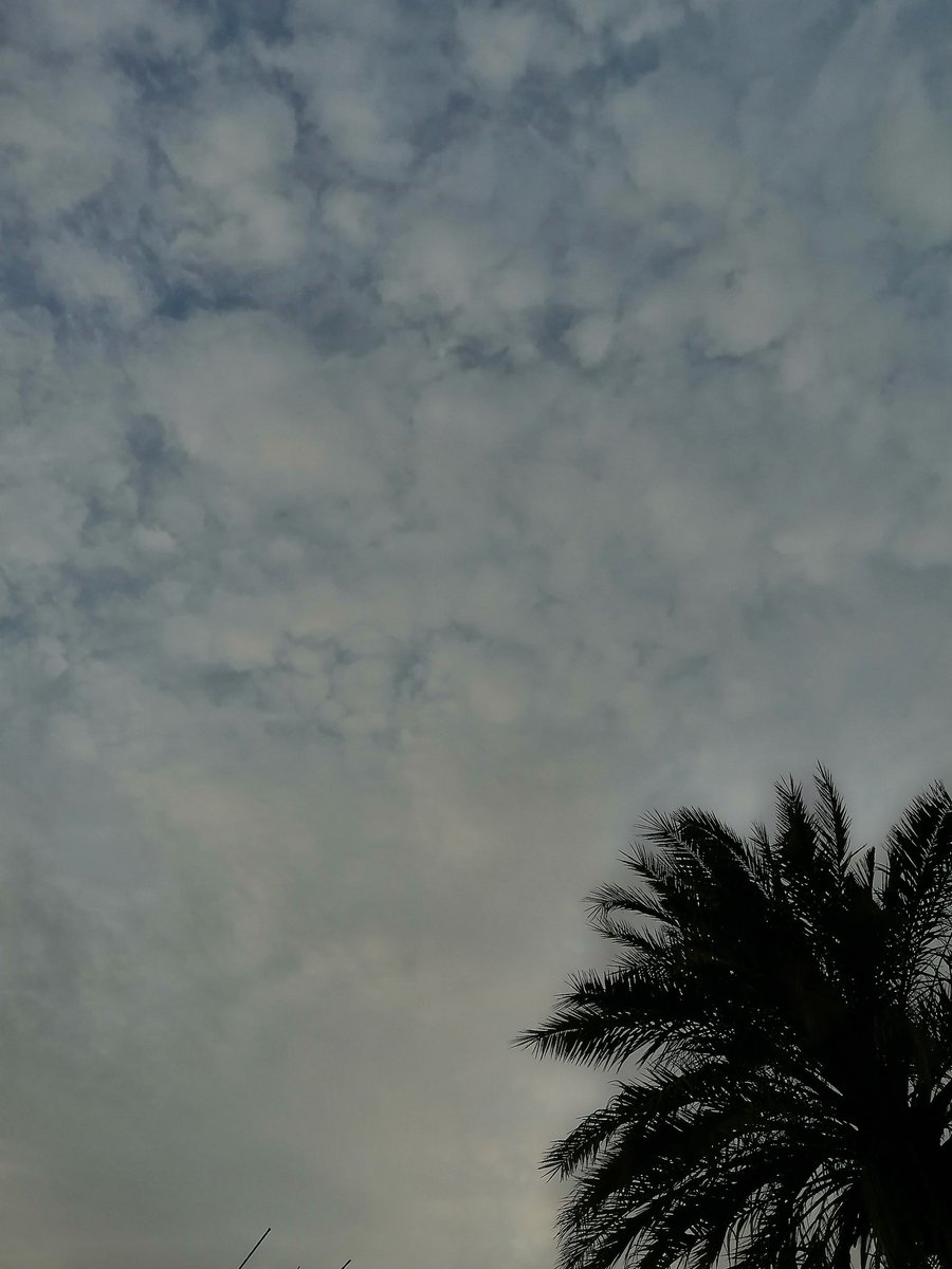 Miami_m21's tweet photo. أينما حلت الغيوم يُرافقها الجمال💙.. https://t.co/bOFTSzyCsT