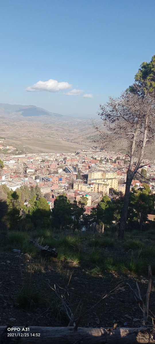 anes20062014's tweet image. 