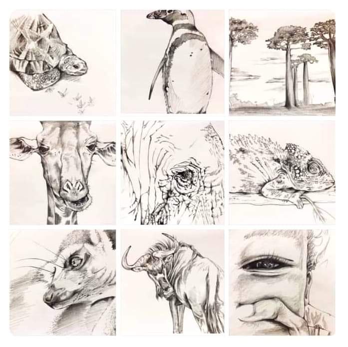 SIESTA🐈 sⁱᵉˢtᵃ sᵢₑₛtₐ ✨🐰 tweet media