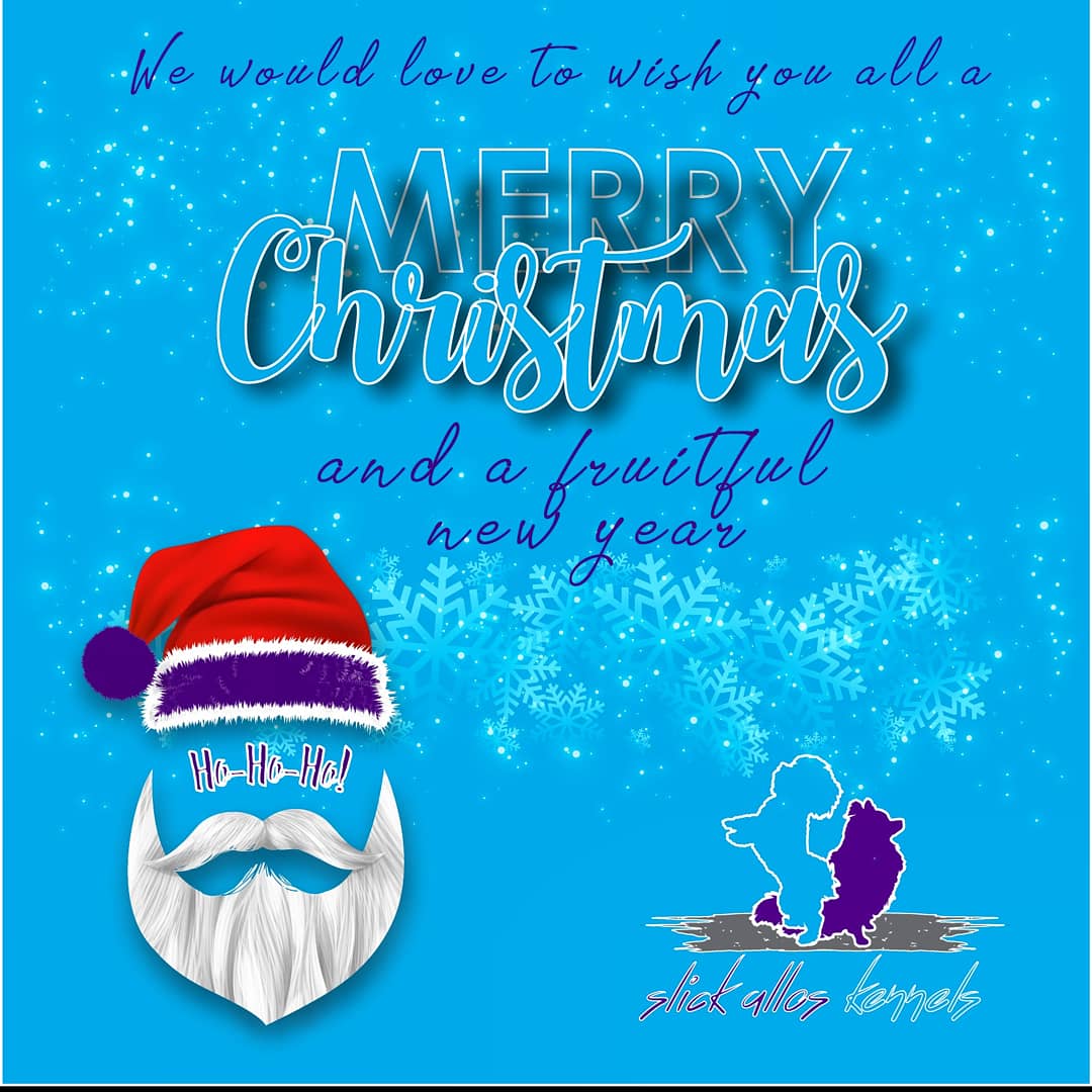 SlickAllosKnnls's tweet photo. Happy tail wagging holidays everybody!
Slick Allos Kennels
Maltese, Pomeranian & German Spitz breeding kennels
#ToyDogsOrNoDogs π
π© https://t.co/z0qfGBrO94