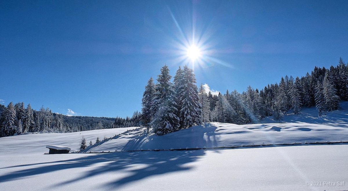 Petra_C_M_P's tweet image. Licht und Schatten.
Aber am Ende immer wieder Licht.

Guten Morgen, liebe Alle.🎄🎄

#SnowContent