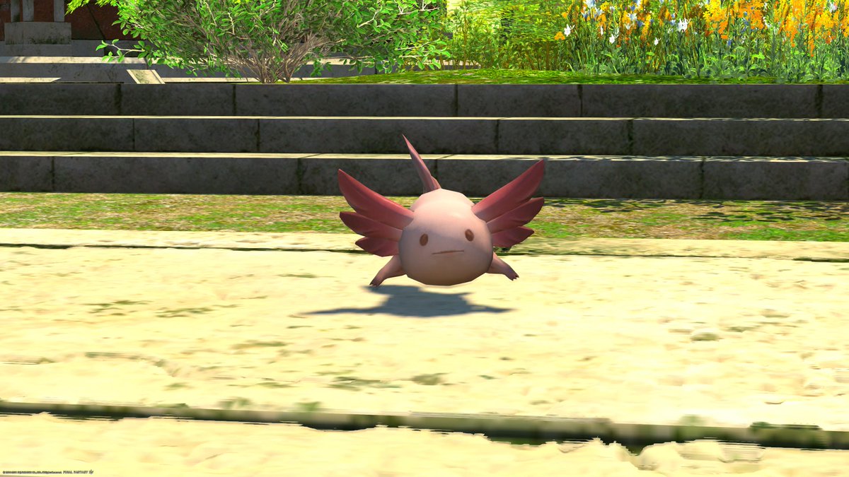 でぃおる🌱FF14＆DQ10 活動休止中 (@Dior_Blooming) / Posts / X