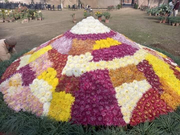 ToursExploreIt's tweet photo. Flowers Exhibition 🌹🌻🌸💮🌼🏵🌷🌺💐

📍Peshawar, Pakistan

#Exploreit #Pakistan #Peshawar #Sunday https://t.co/p0llsMLELB
