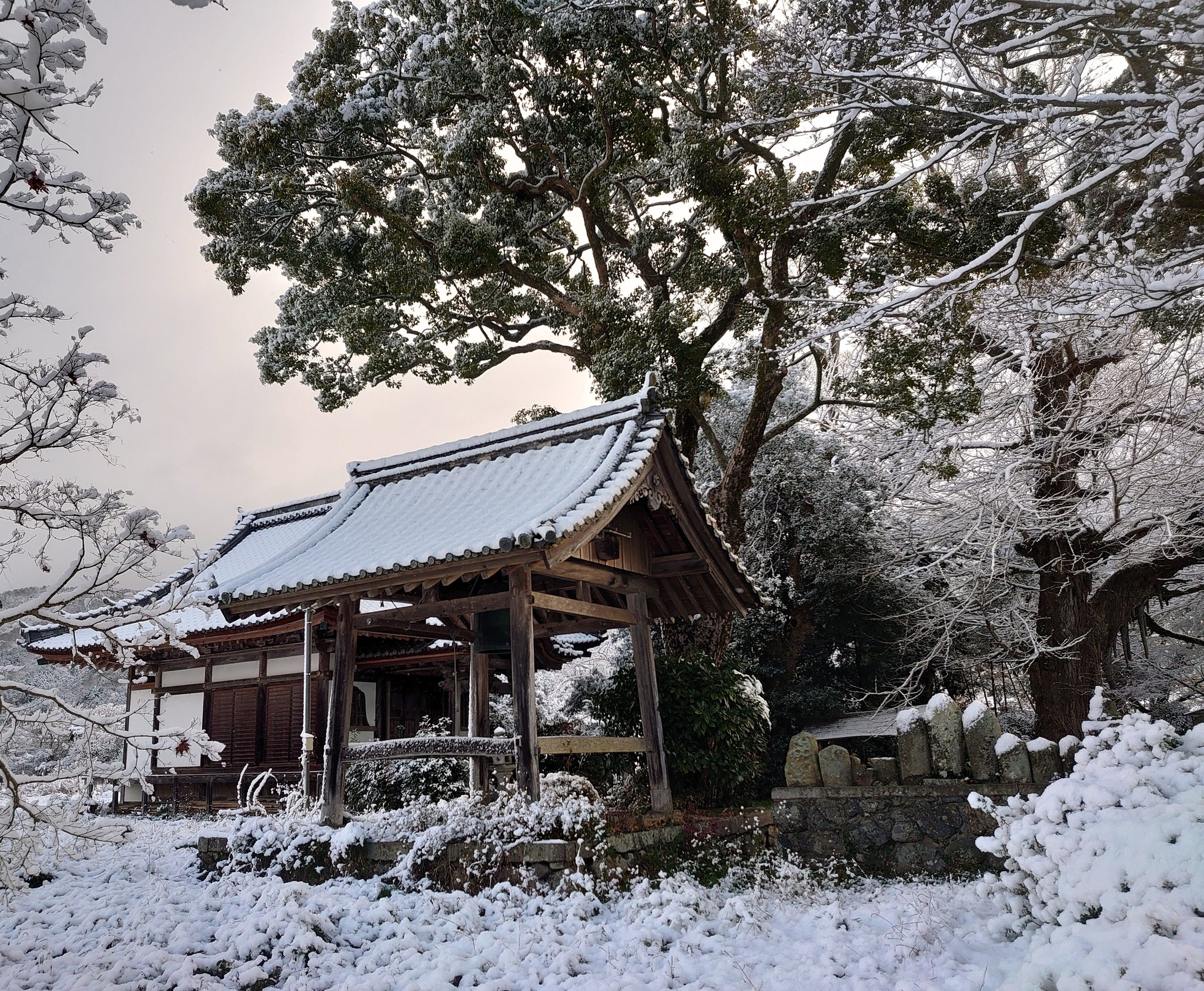 リンダ 丹波国分寺 雪の丹波国分寺 とても静かな風景でした 雪の足跡一番乗りだったな 亀岡 雪 国分寺 T Co Edpnmvfi18 Twitter