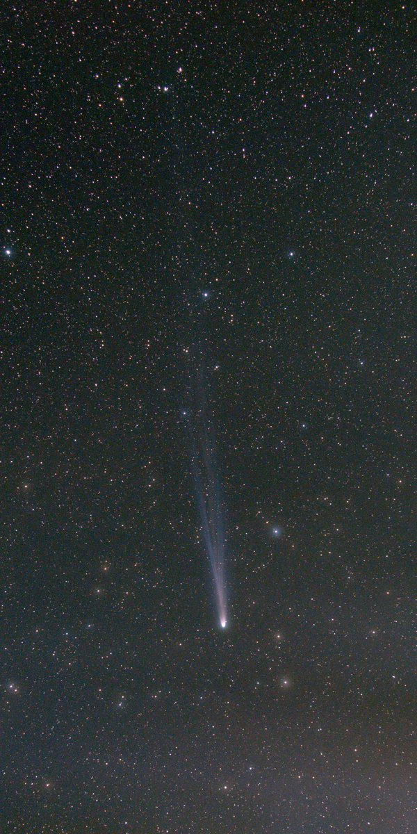 14 degrees of tail on Comet Leonard, Dec 25th (10hrs UT) from near Jondaryn, QLD.  Fascinating watching this comet change night to night.