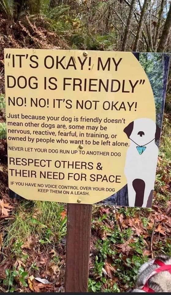 Please retweet, don't allow your dog to approach others. They may be reactive or nervous, even if they look friendly. 
It's your responsibility to KEEP YOUR DOG AWAY FROM OTHERS⚠️⛔️
#DogsofTwittter #dogs