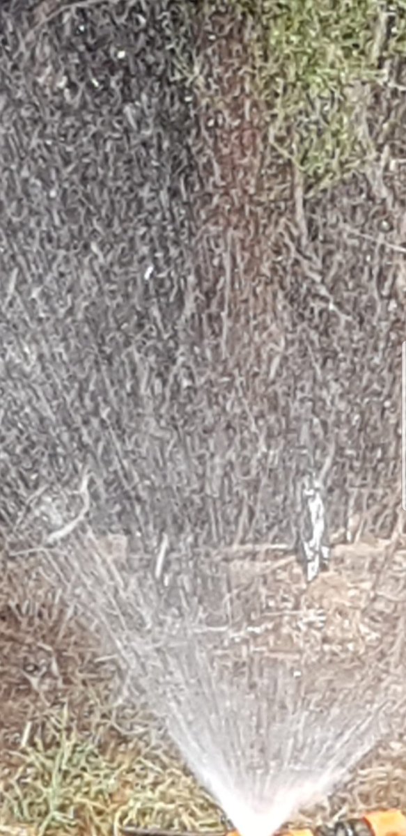 Diongroove's tweet photo. ...look closely๐
#climateemergency ๐
#HeatStressed ๐ฅโ๏ธ
#birds ๐๐ฆ
#SeekSanctuary๐งโโ๏ธ๐งโโ๏ธ
...under
#WaterSprinkler๐ง
...to
#AvoidDeathโ
...in 45 degree Celsius ๐ฅ
#AustralianHeatwave๐ฅ
#Help ๐
@GretaThunberg ๐ฉโ๐ญ
#savetheplanet ๐ https://t.co/miFJU02dcf